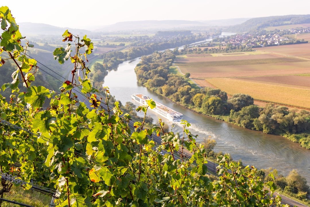 River cruise ship sailing past vineyards and a small town.