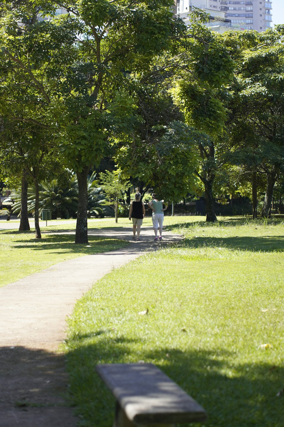 Two women walk along a paved path in a park.